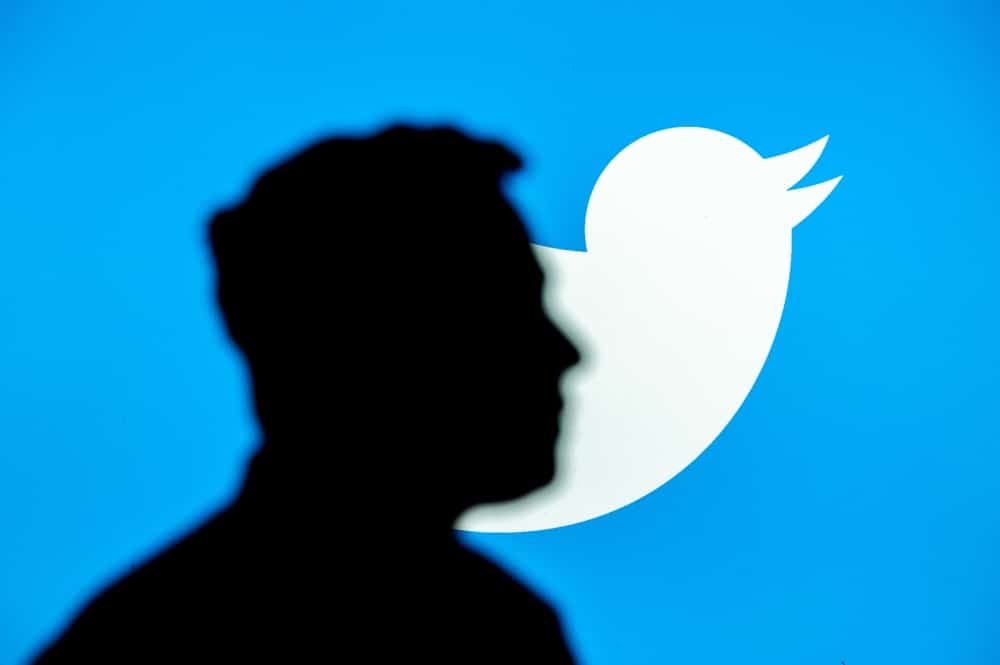 Mudanças do Twitter afastam usuários e anunciantes. A imagem mostra a sombra de Elon Musk, CEO do Twitter, à frente do logo da rede social: um pássaro branco sobre um fundo azul claro.