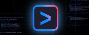 gemini cli